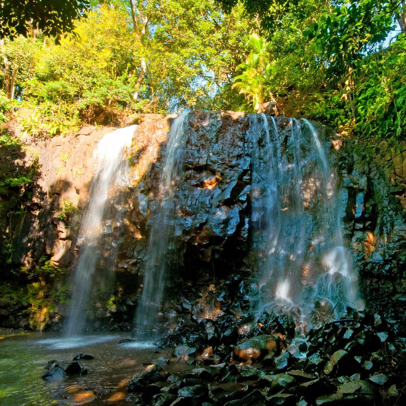 The Authentic Bel Ombre | Bel Ombre Nature Reserve