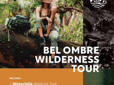 Bel Ombre Wilderness Tour