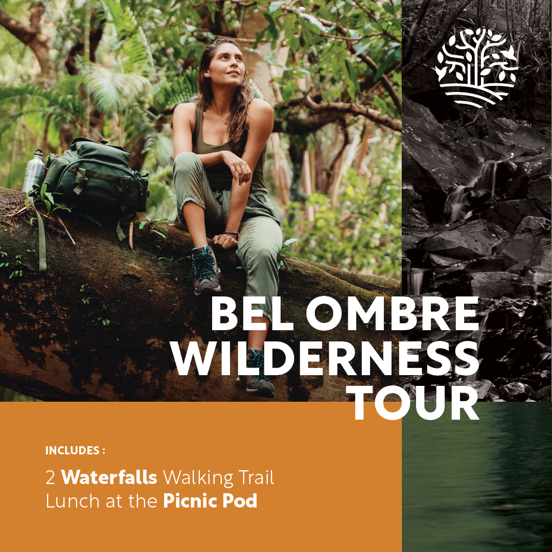 Bel Ombre Wilderness Tour