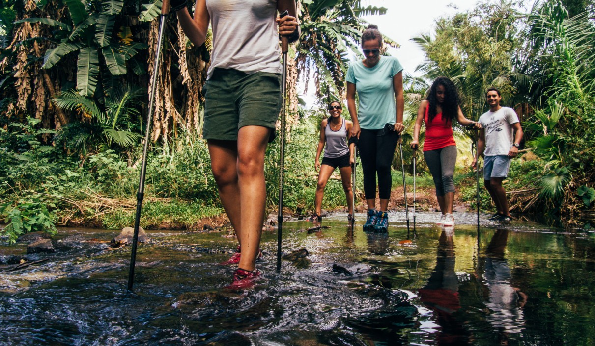 Bel Ombre Wilderness Tour